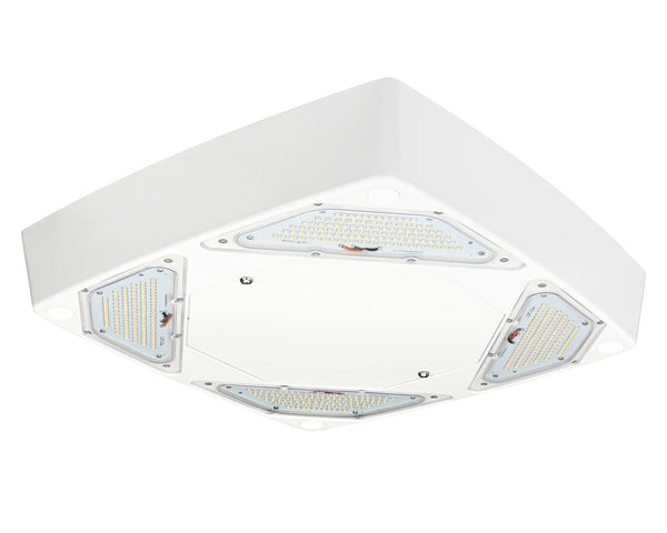 ガネーシャ　フローライト　380g Florawave A18 Grow Light – Carnivero