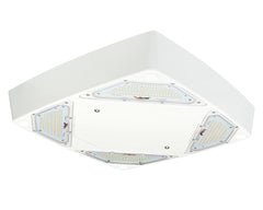 LED Petroleum Forecourt Canopy Light FLEXBEAM™ Series with Optional Directional High Output Modules