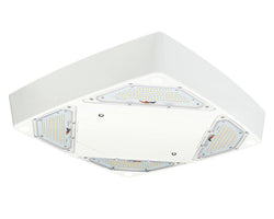 LED Petroleum Forecourt Canopy Light FLEXBEAM™ Series with Optional Directional High Output Modules