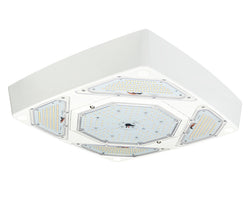 LED Petroleum Forecourt Canopy Light FLEXBEAM™ Series with Optional Directional High Output Modules