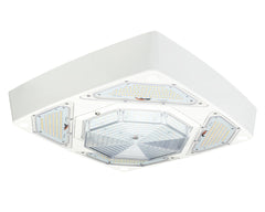 LED Petroleum Forecourt Canopy Light FLEXBEAM™ Series with Optional Directional High Output Modules