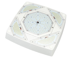 LED Petroleum Forecourt Canopy Light FLEXBEAM™ Series with Optional Directional High Output Modules