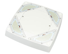 LED Petroleum Forecourt Canopy Light FLEXBEAM™ Series with Optional Directional High Output Modules