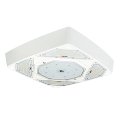 LED Petroleum Forecourt Canopy Light FLEXBEAM™ Series with Optional Directional High Output Modules