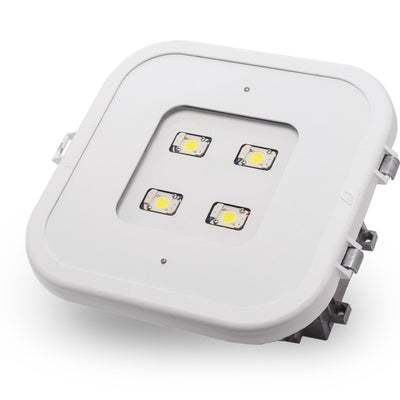 Gas Station / Petroleum Lighting Fixtures